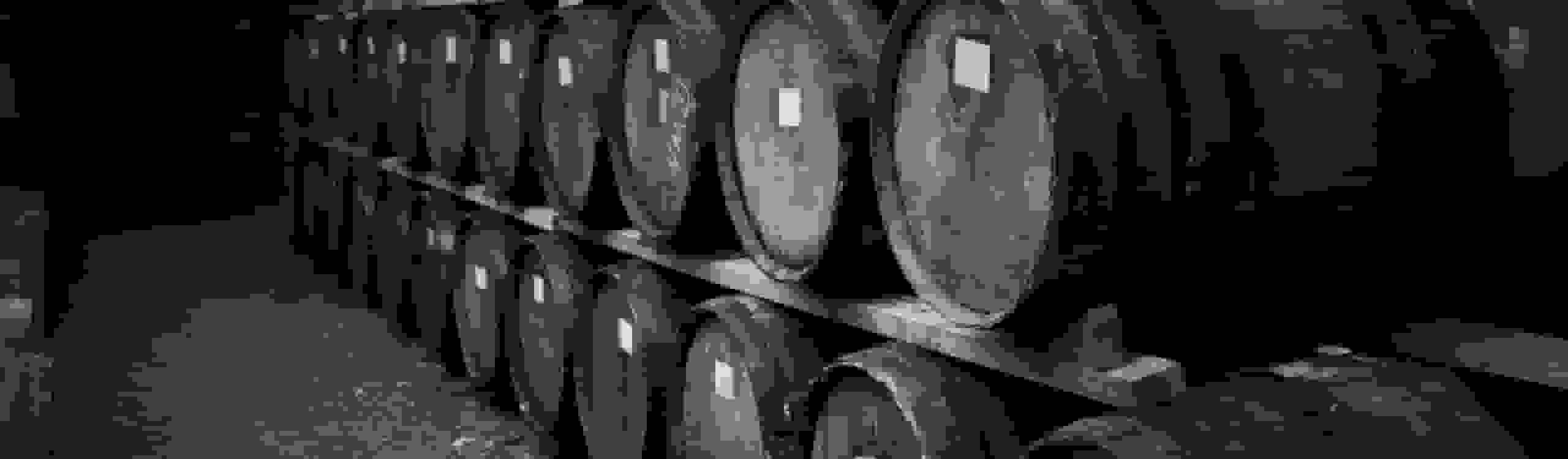 Vigneron 3