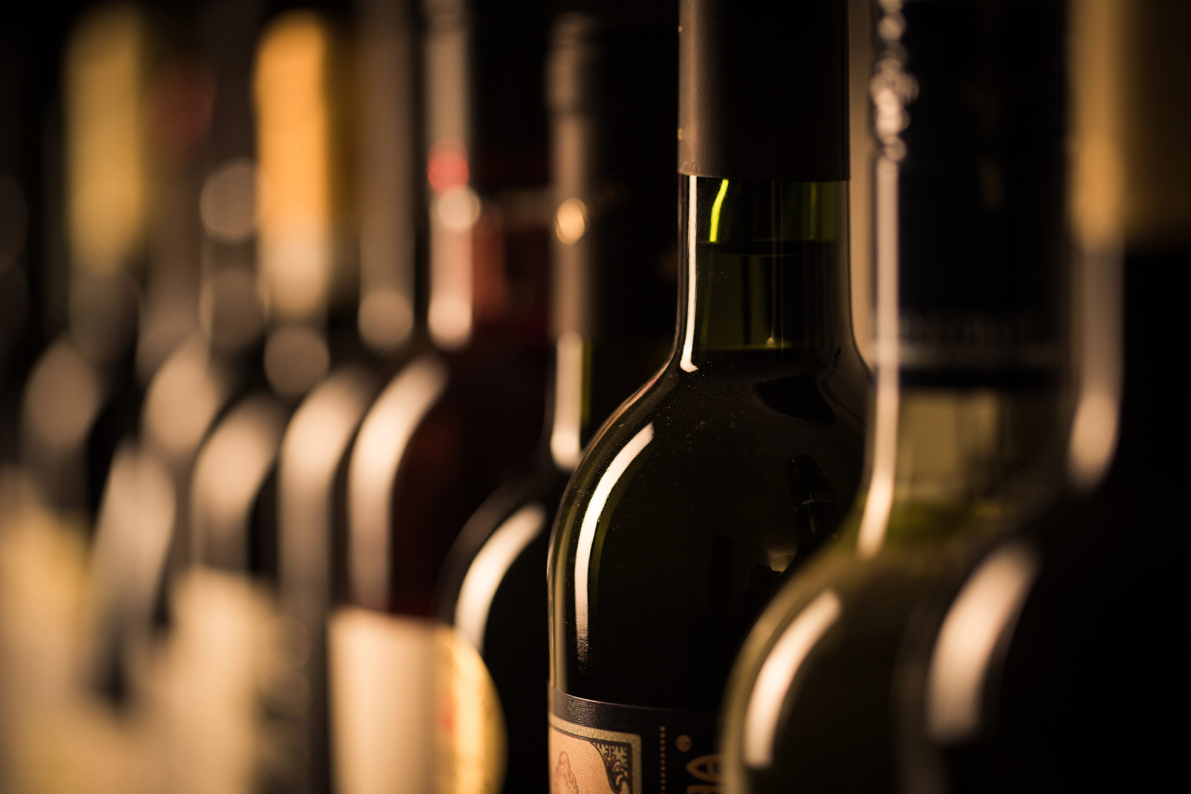 En guide till viner från Gaja, Italiensk perfektion i varje droppe